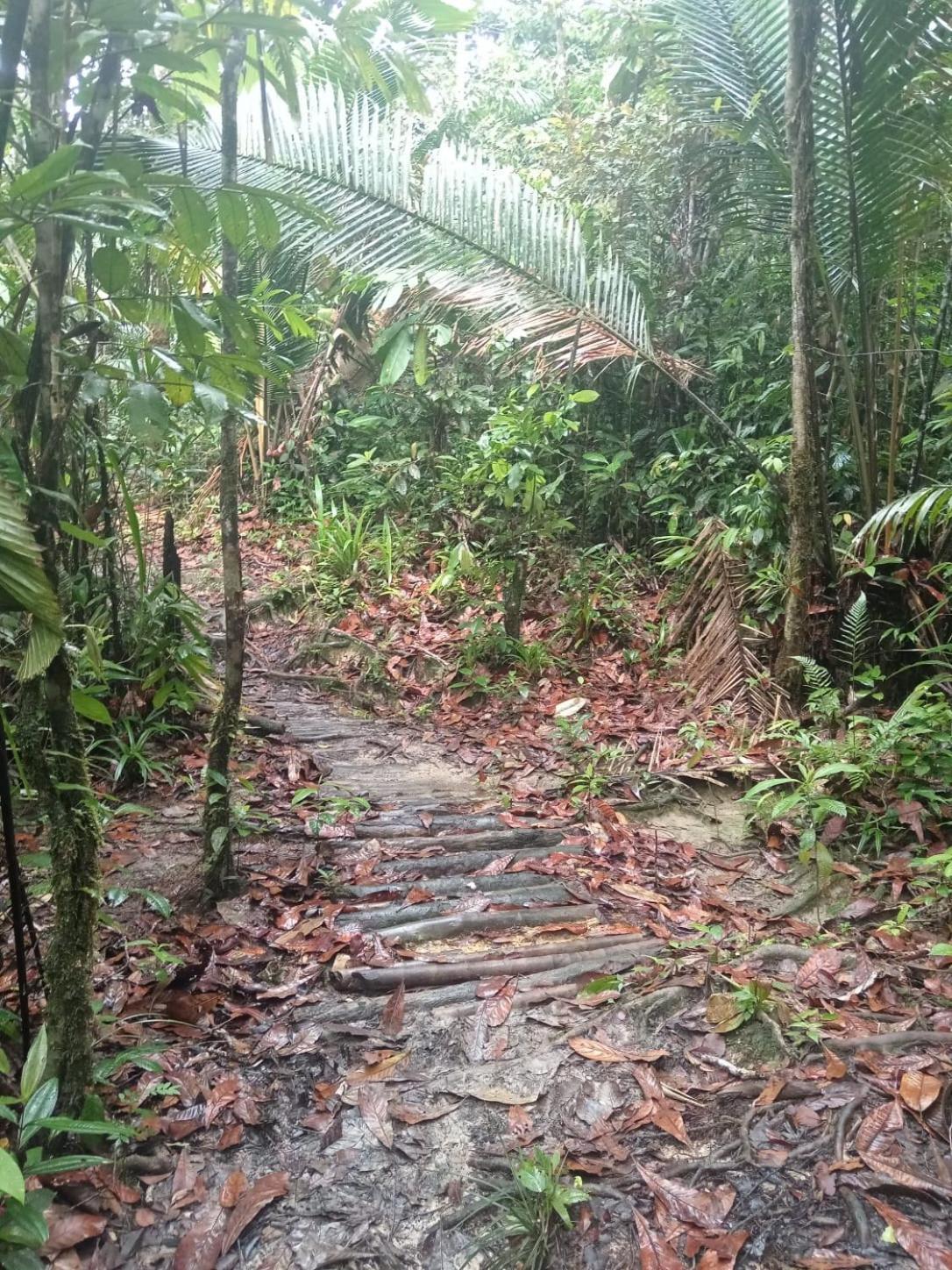 Los Cocos Hostal Bazan Luaran gambar